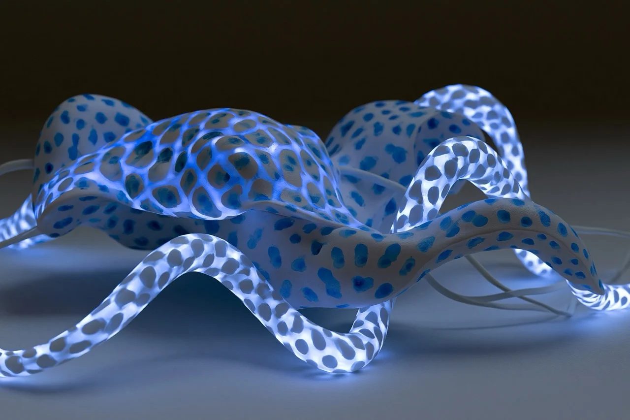 bioluminescent lighting