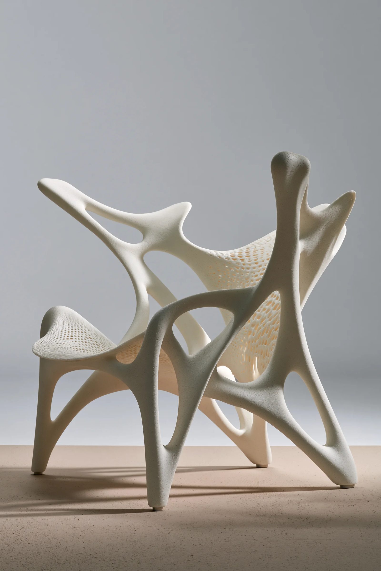 biomorphic — image 4