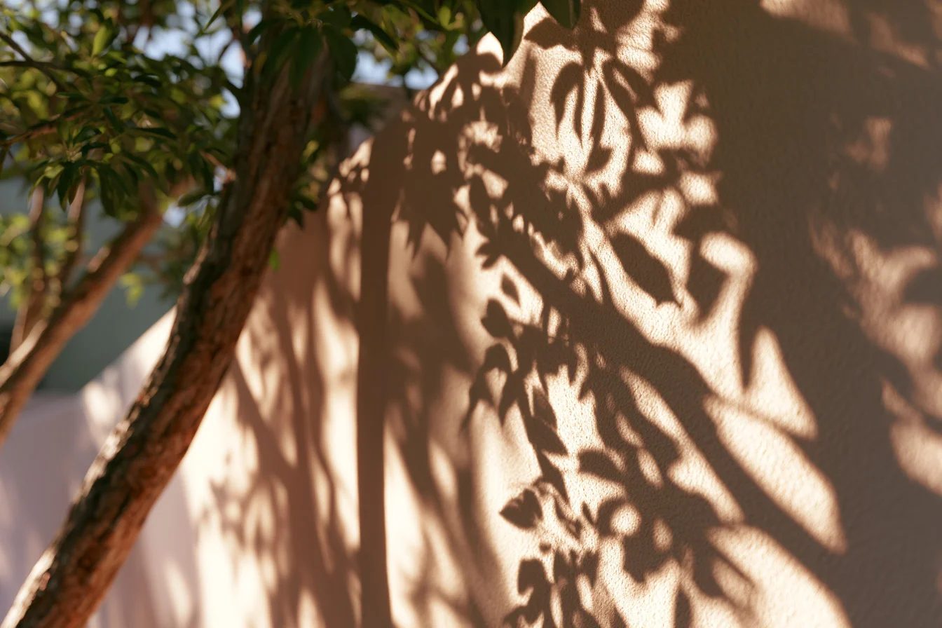 dappled light — image 2