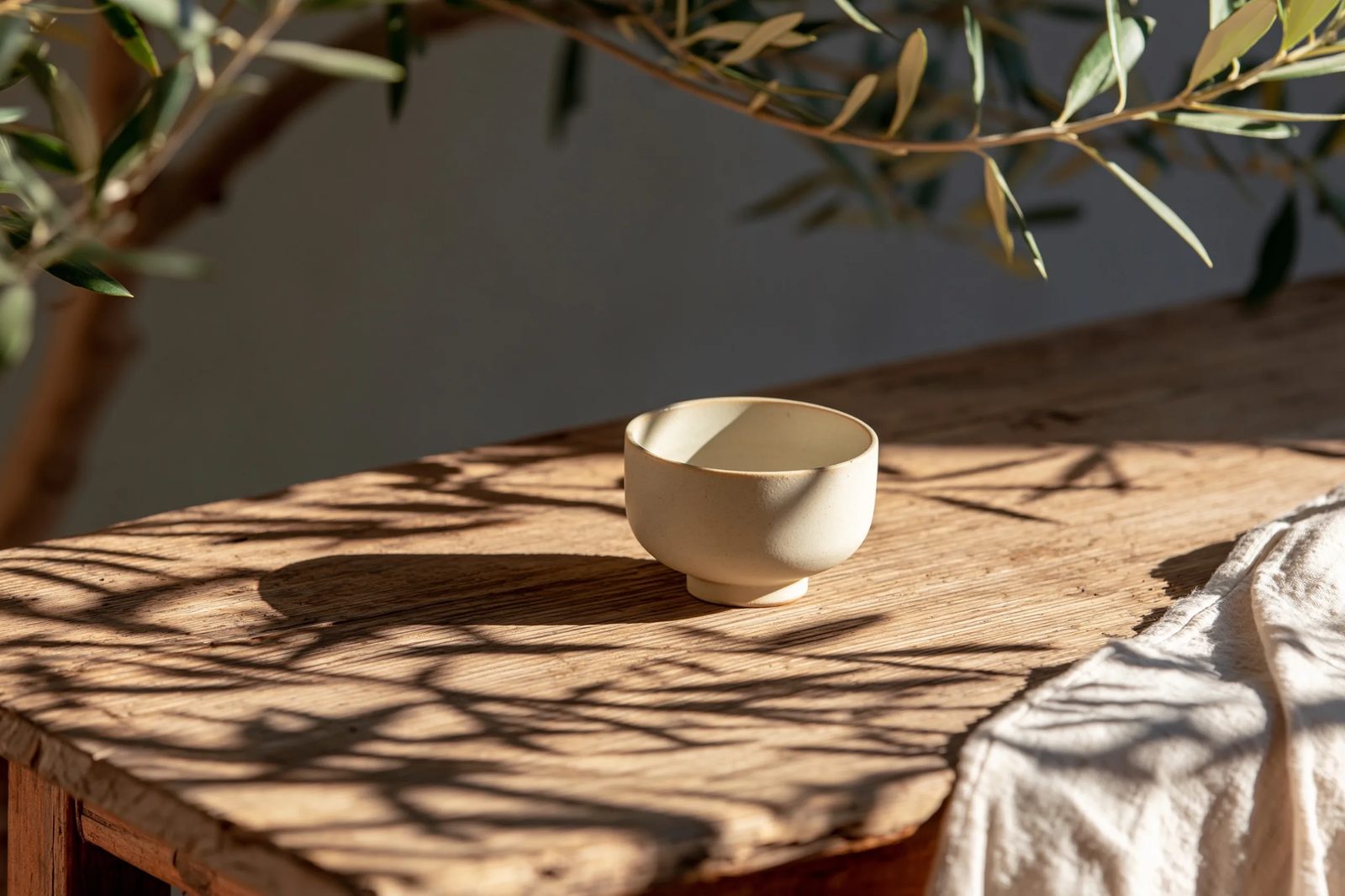dappled sunlight — image 3