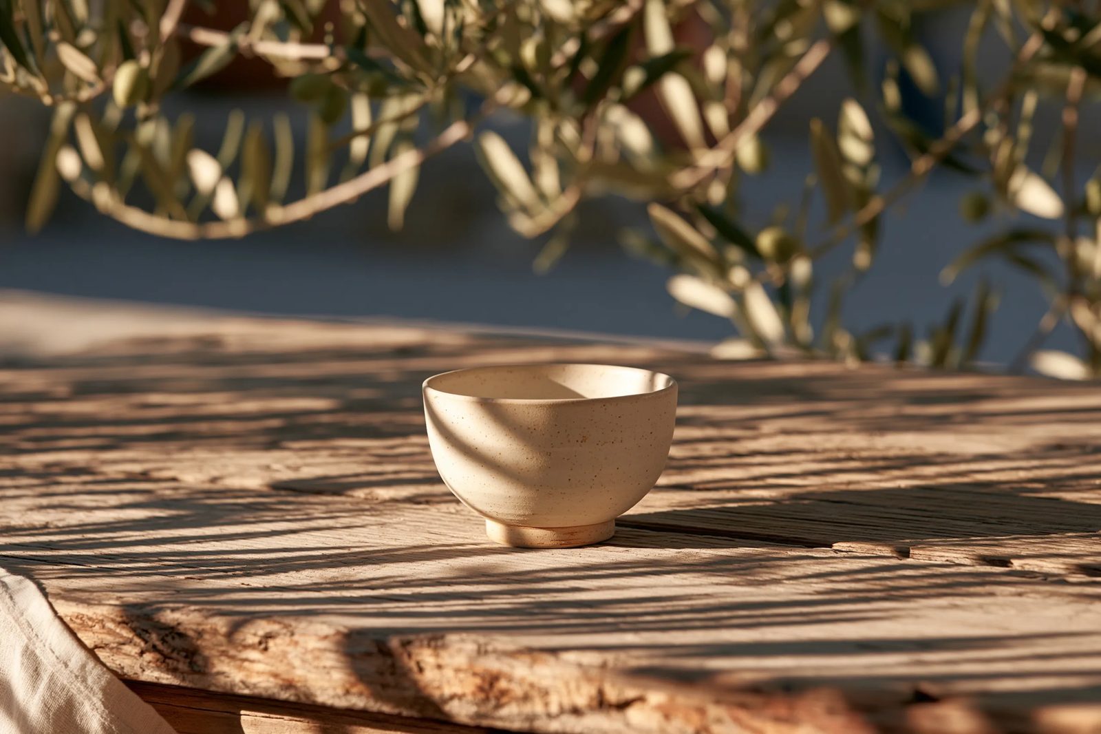 dappled sunlight — image 4
