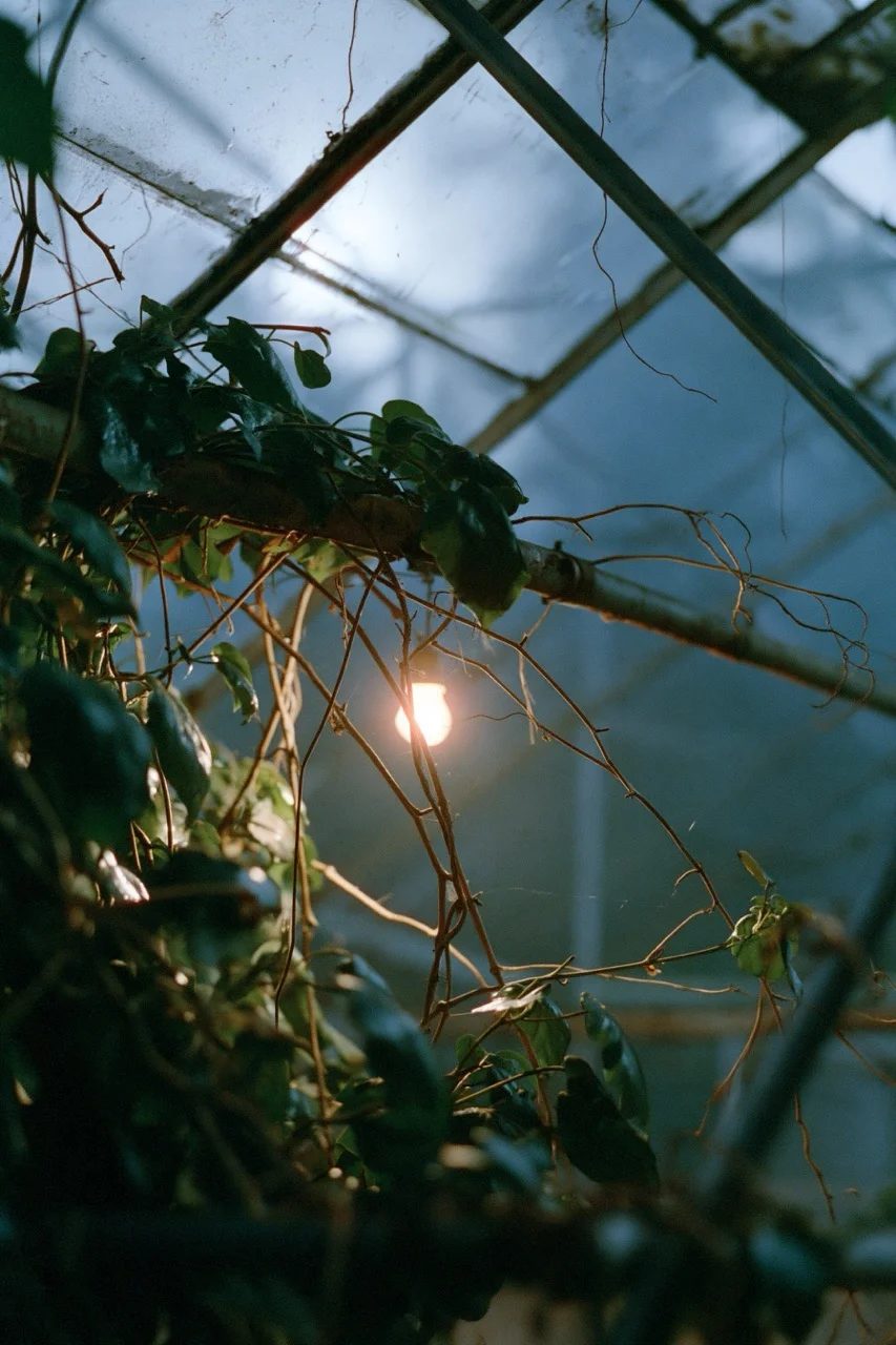 eerie — image 2
