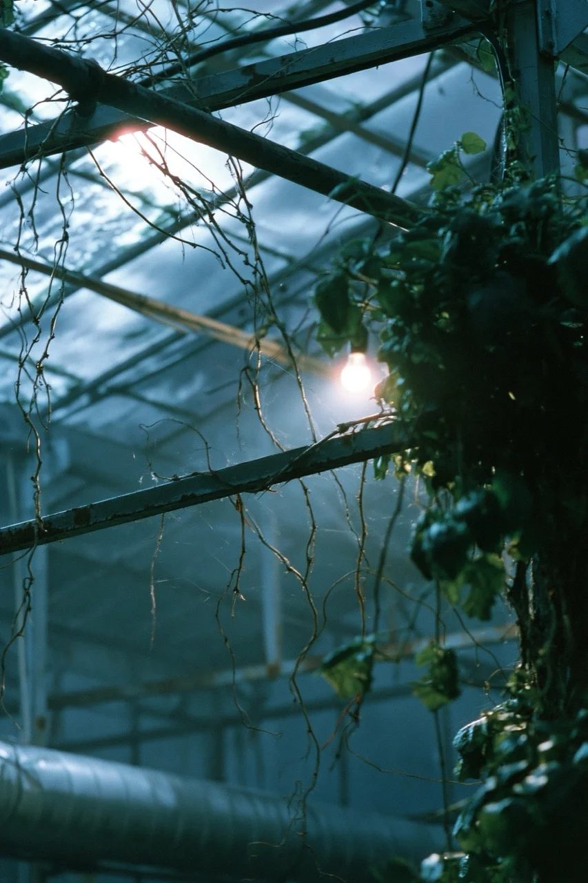 eerie — image 4