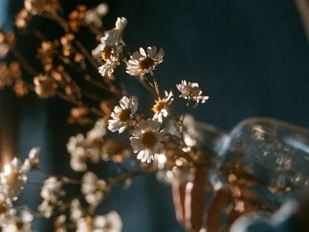 expired film — image 2