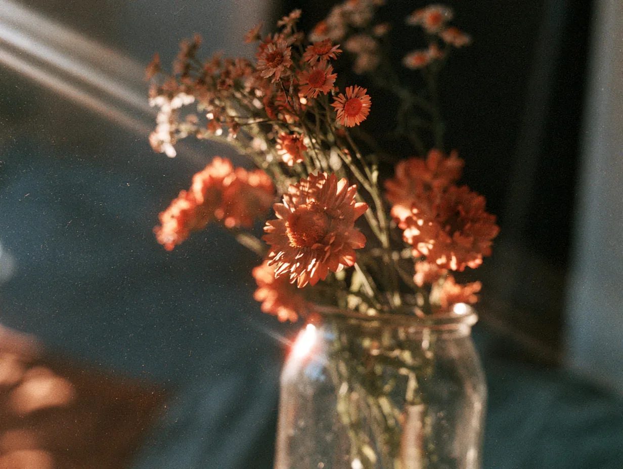 expired film — image 4