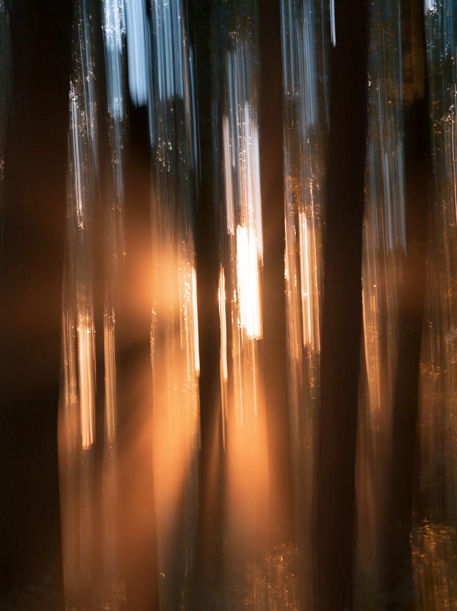 intentional camera movement — image 2