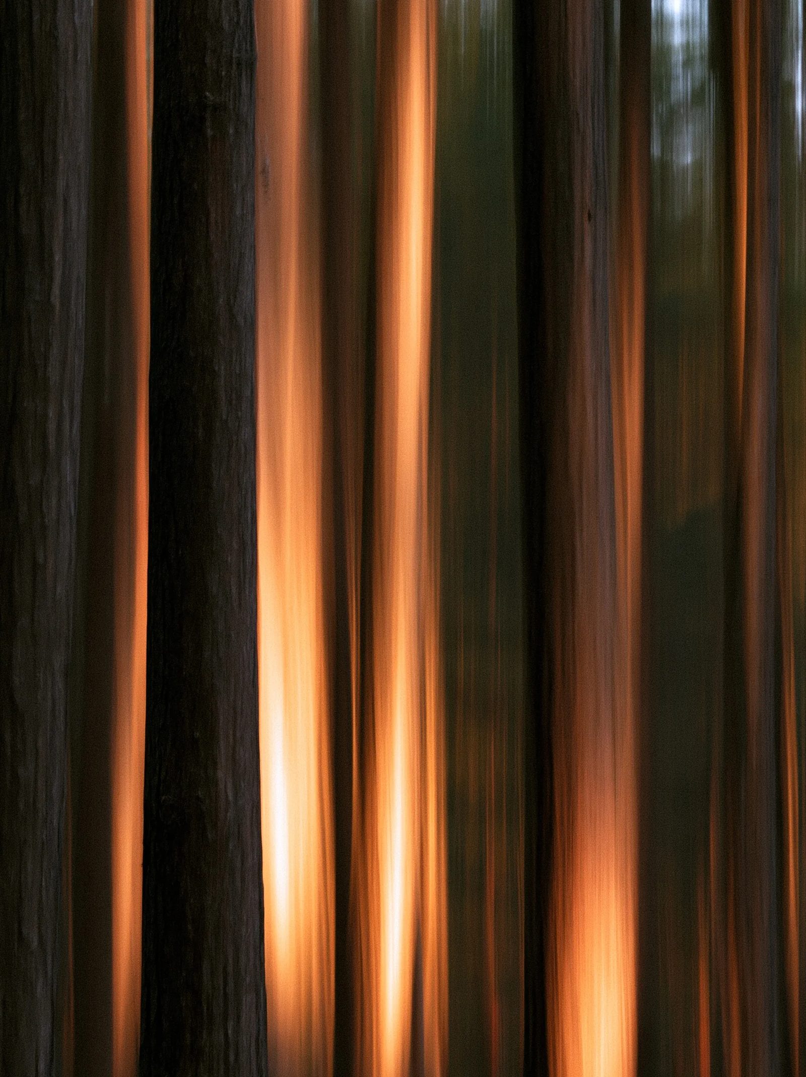 intentional camera movement — image 3