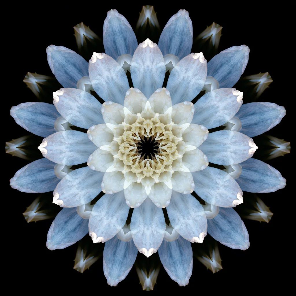 kaleidoscopic symmetry — image 2