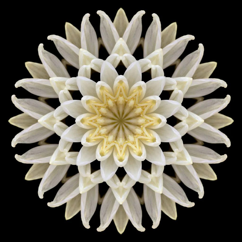 kaleidoscopic symmetry — image 4