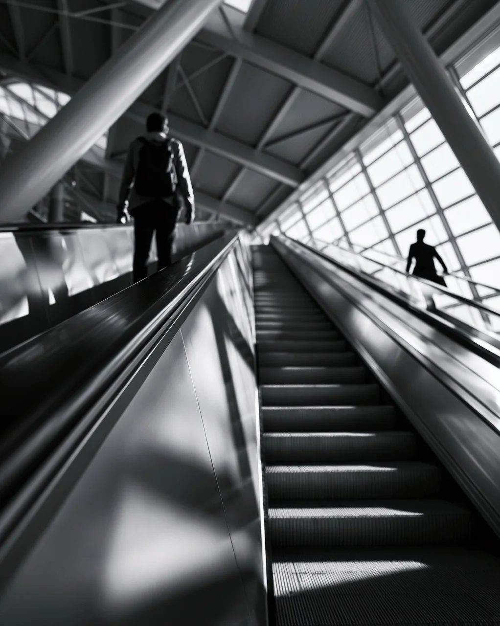 leading lines — image 3