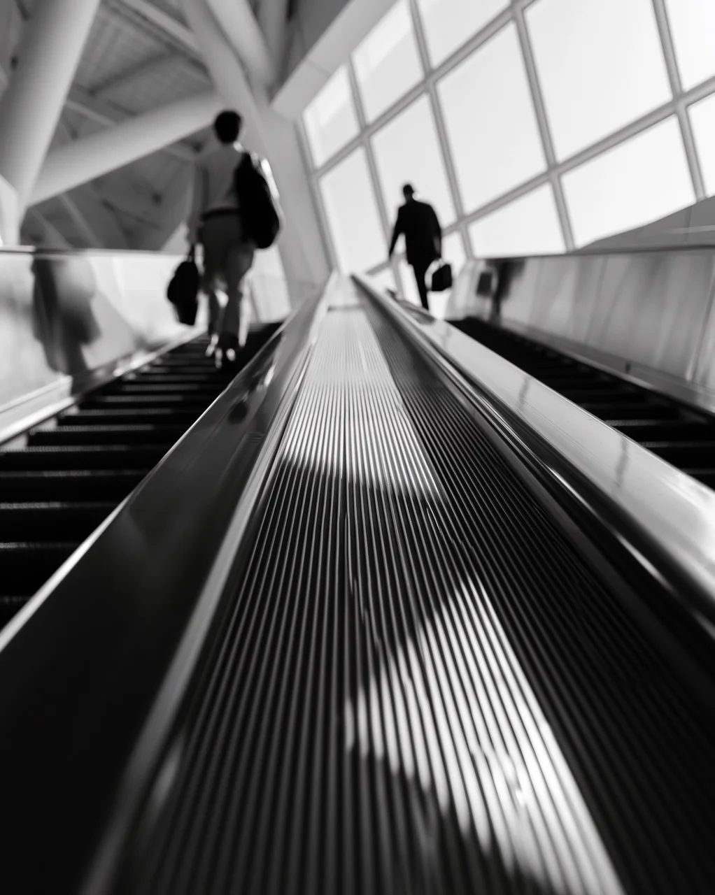 leading lines — image 4