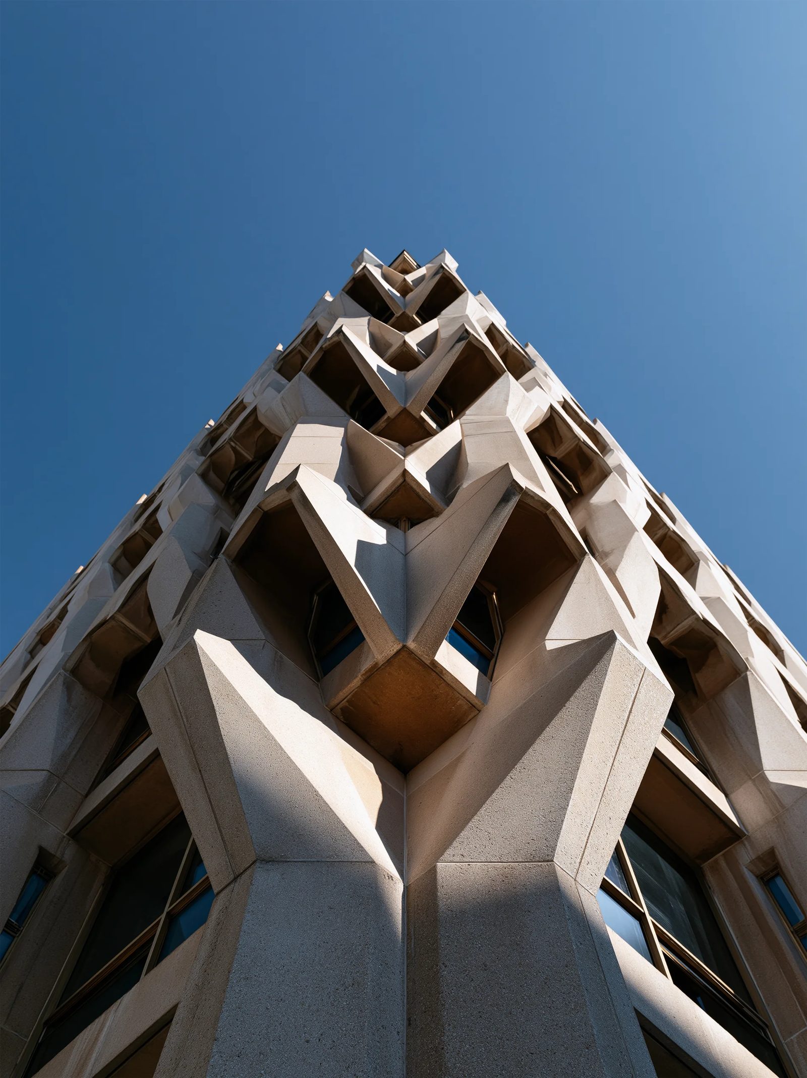 low-angle — image 2