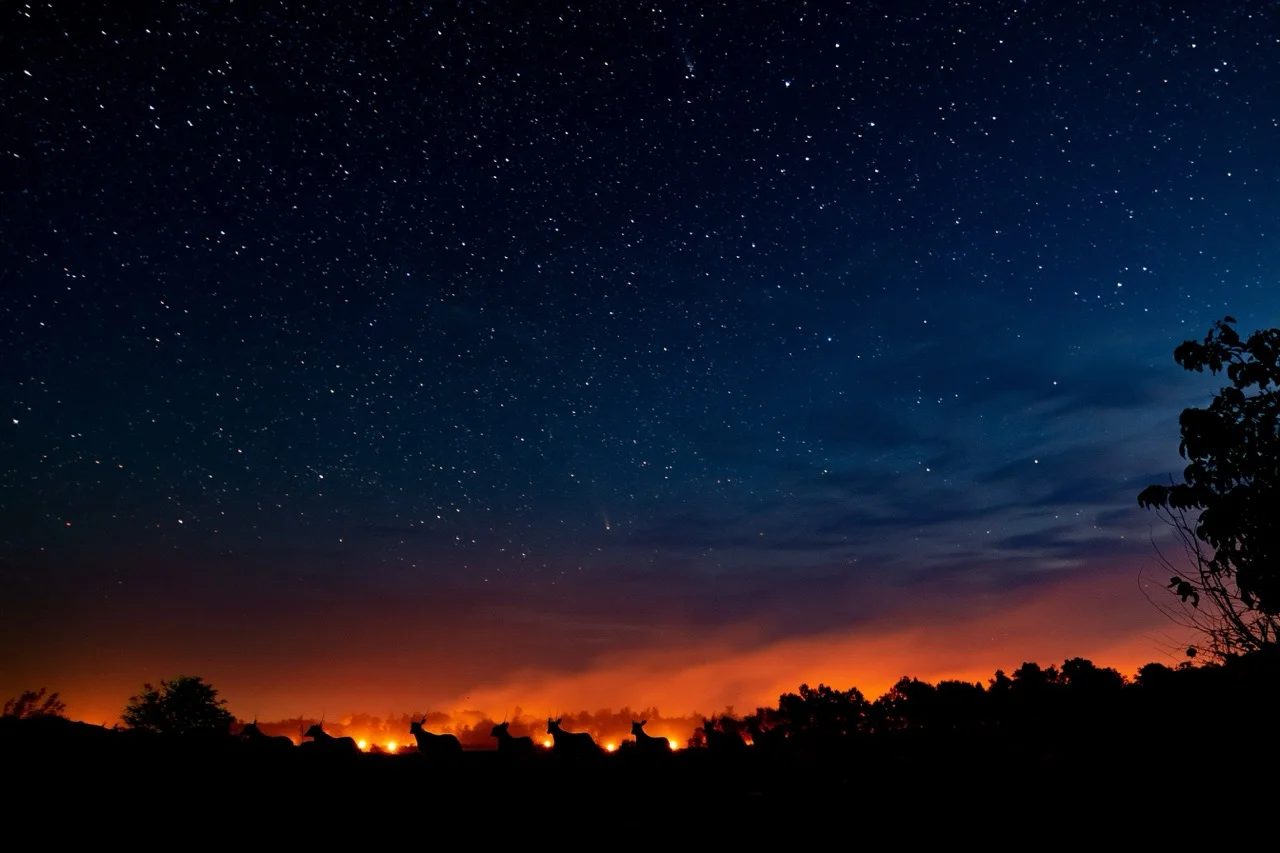 night sky — image 4