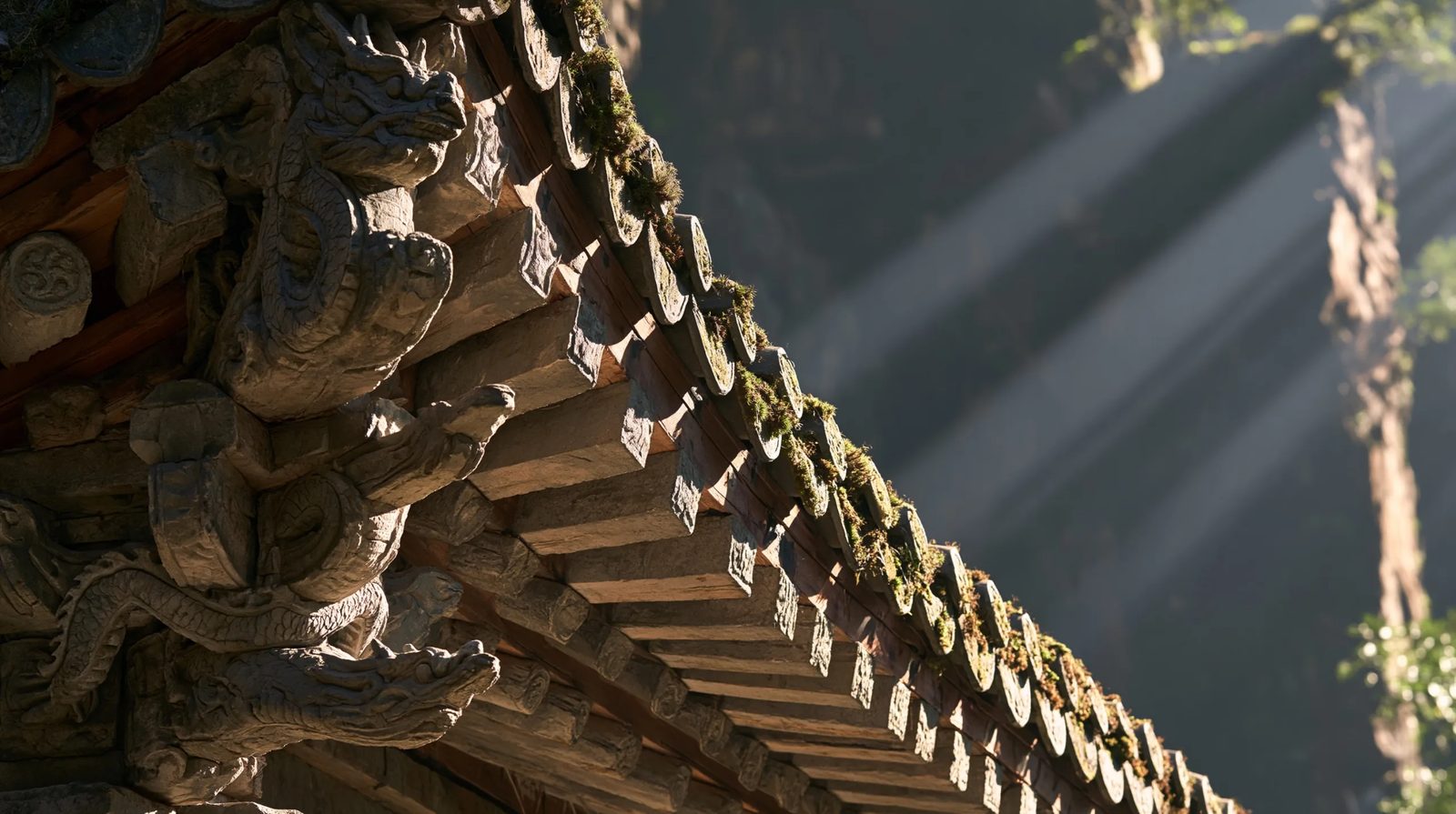 ornate temple eaves — image 4