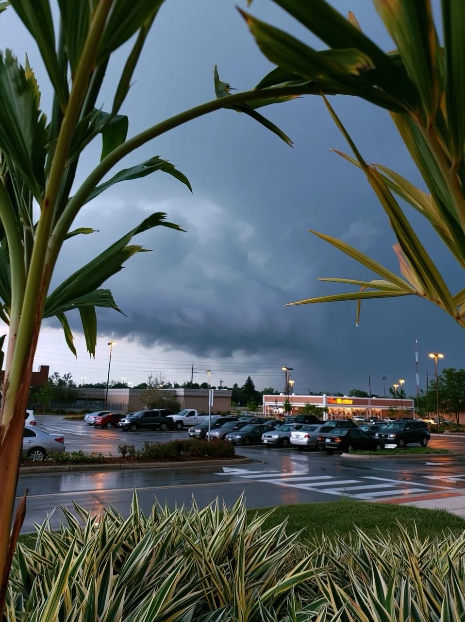 storm — image 4