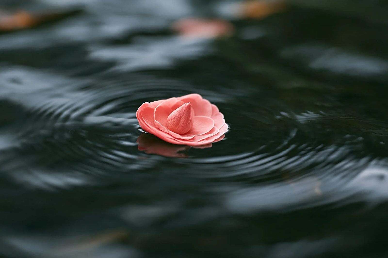 water ripples — image 2