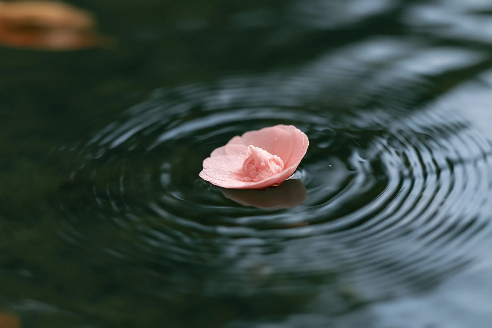 water ripples — image 3