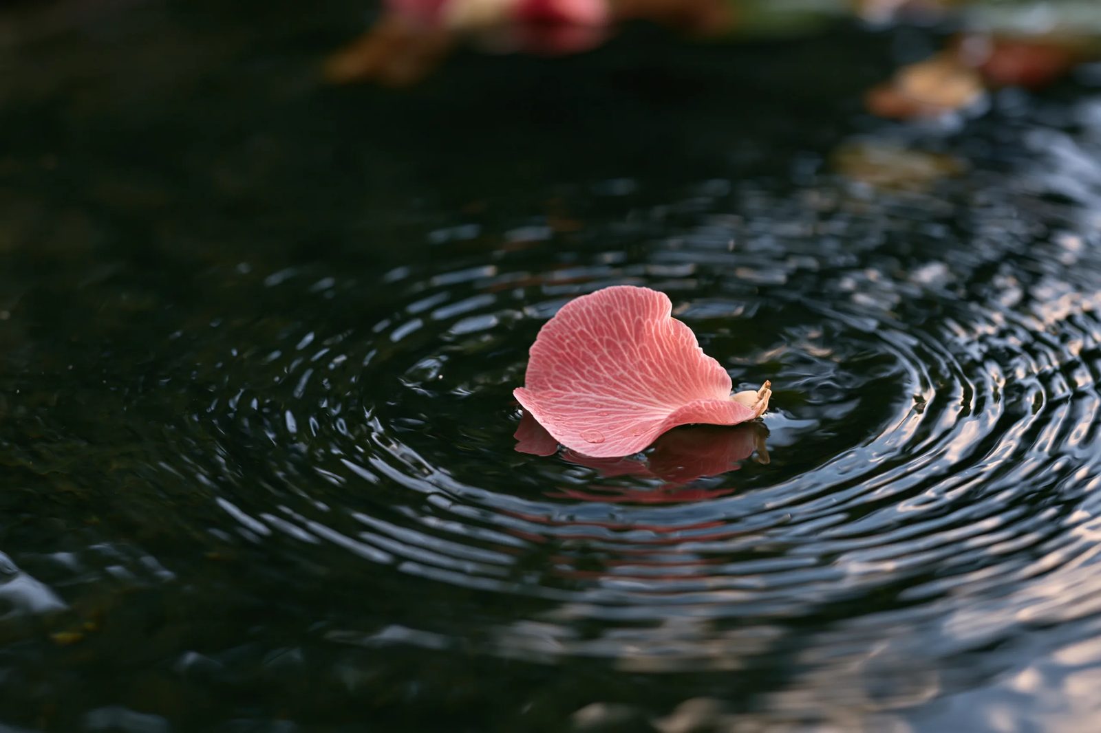 water ripples — image 4