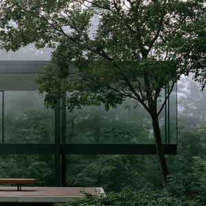 A minimalist glass pavilion sits quietly in the foreground, set against a quiet, melancholic foggy forest backdrop with towering pine trees fading into the mist.