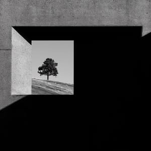frame within a frame, a solitary pine tree on a distant hill seen through a sharp concrete rectangular opening in a brutalist wall, the foreground aperture cast in deep shadow, the lone tree bathed in clean afternoon sunlight, high-contrast geometry, minimalist spatial layout --ar 3:2 --raw --profile sgsml8w --stylize 50 --preview
