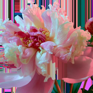  glitch art - flower