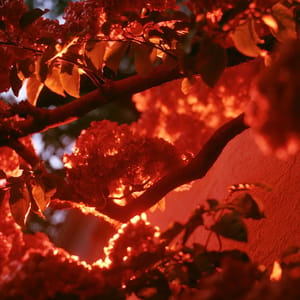 redscale --ar 3:4 --raw --profile 9gfqdl1