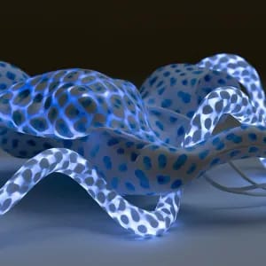 bioluminescent lighting