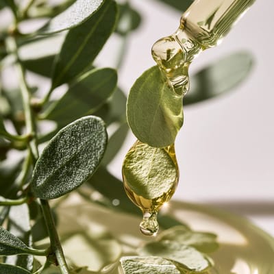 botanical extract