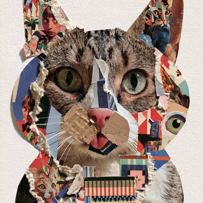 collage