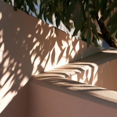 dappled light