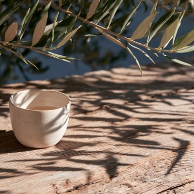 dappled sunlight
