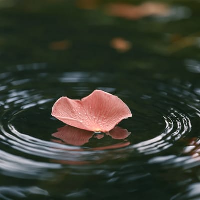 water ripples