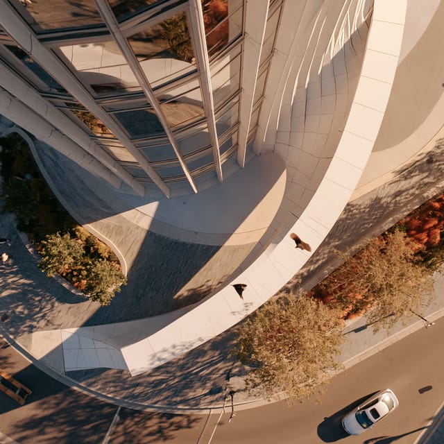birds eye view