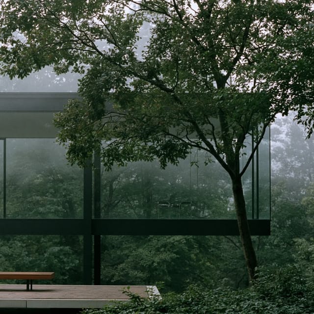foggy forest backdrop