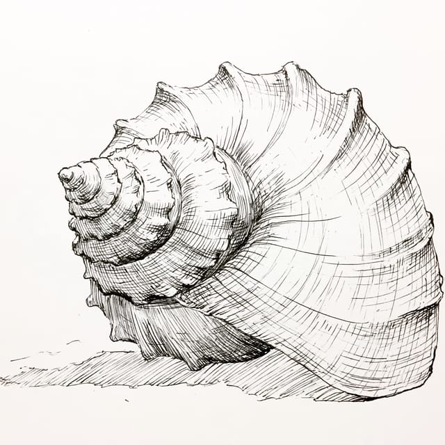 hatching art style