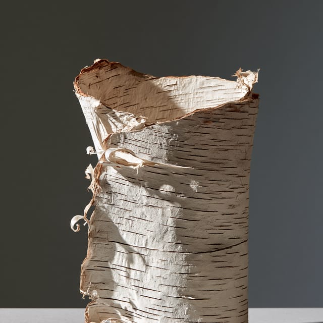 paper birch bark