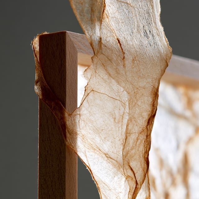 translucent gutskin