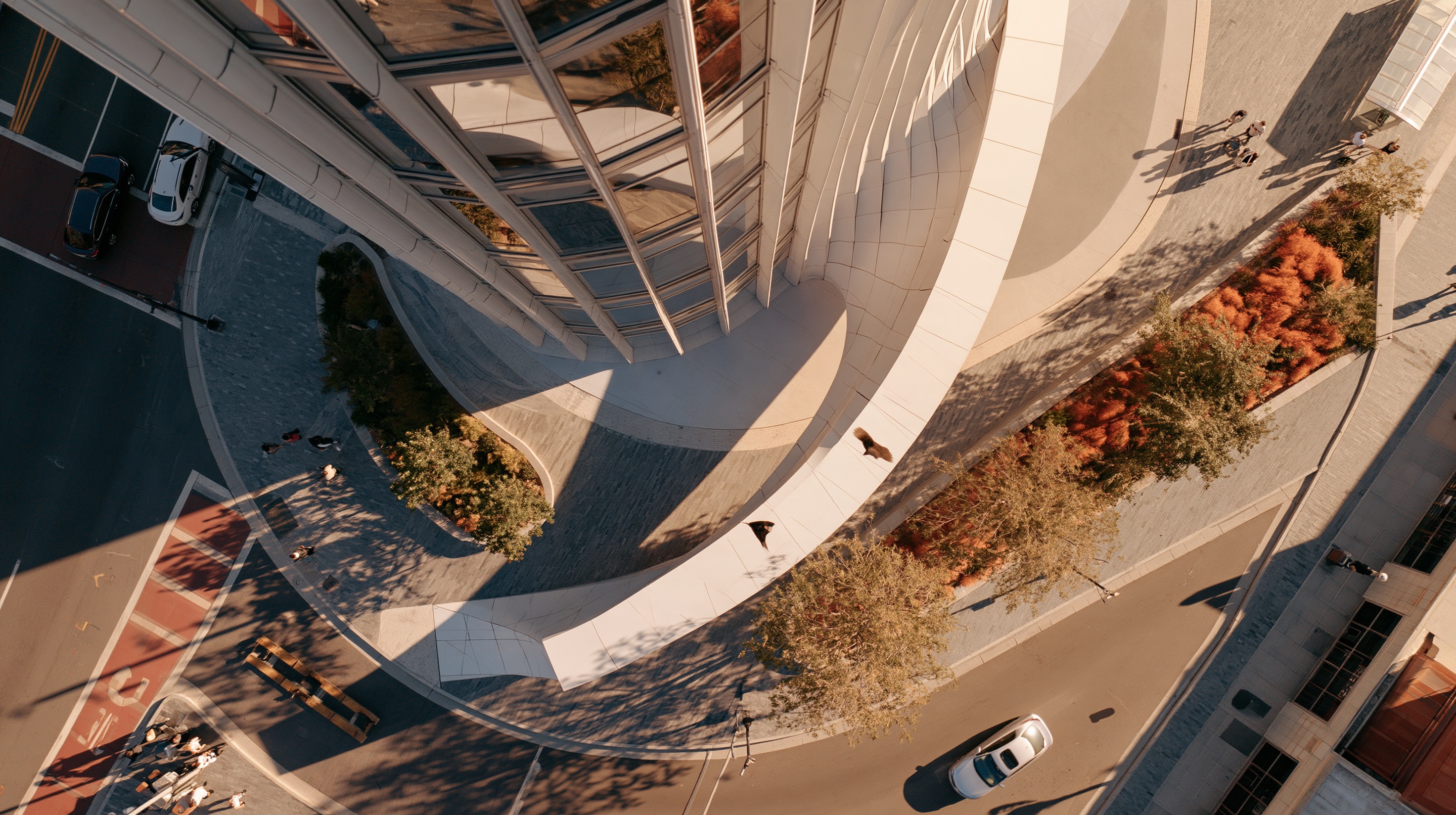 birds eye view