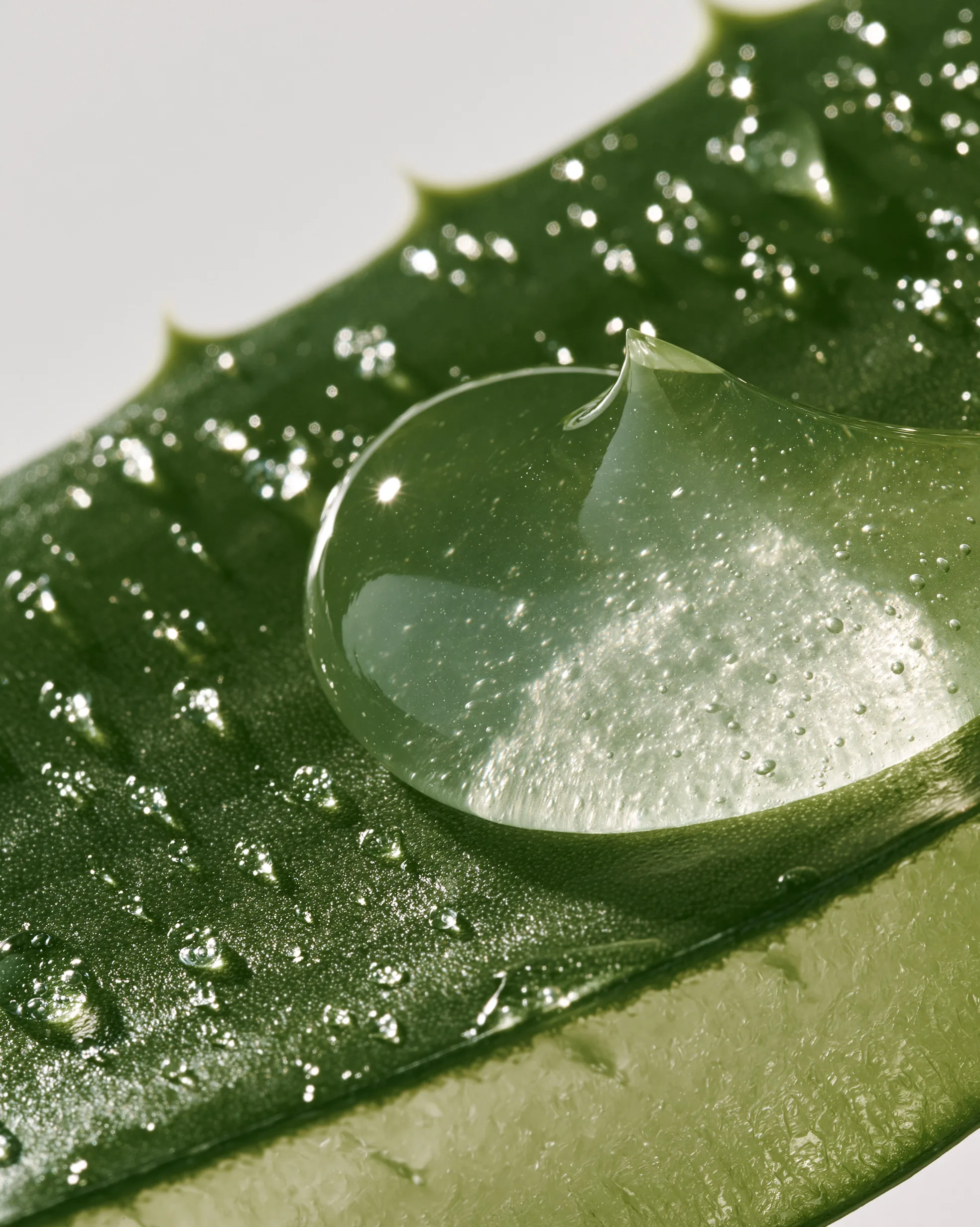 gel moisturizer