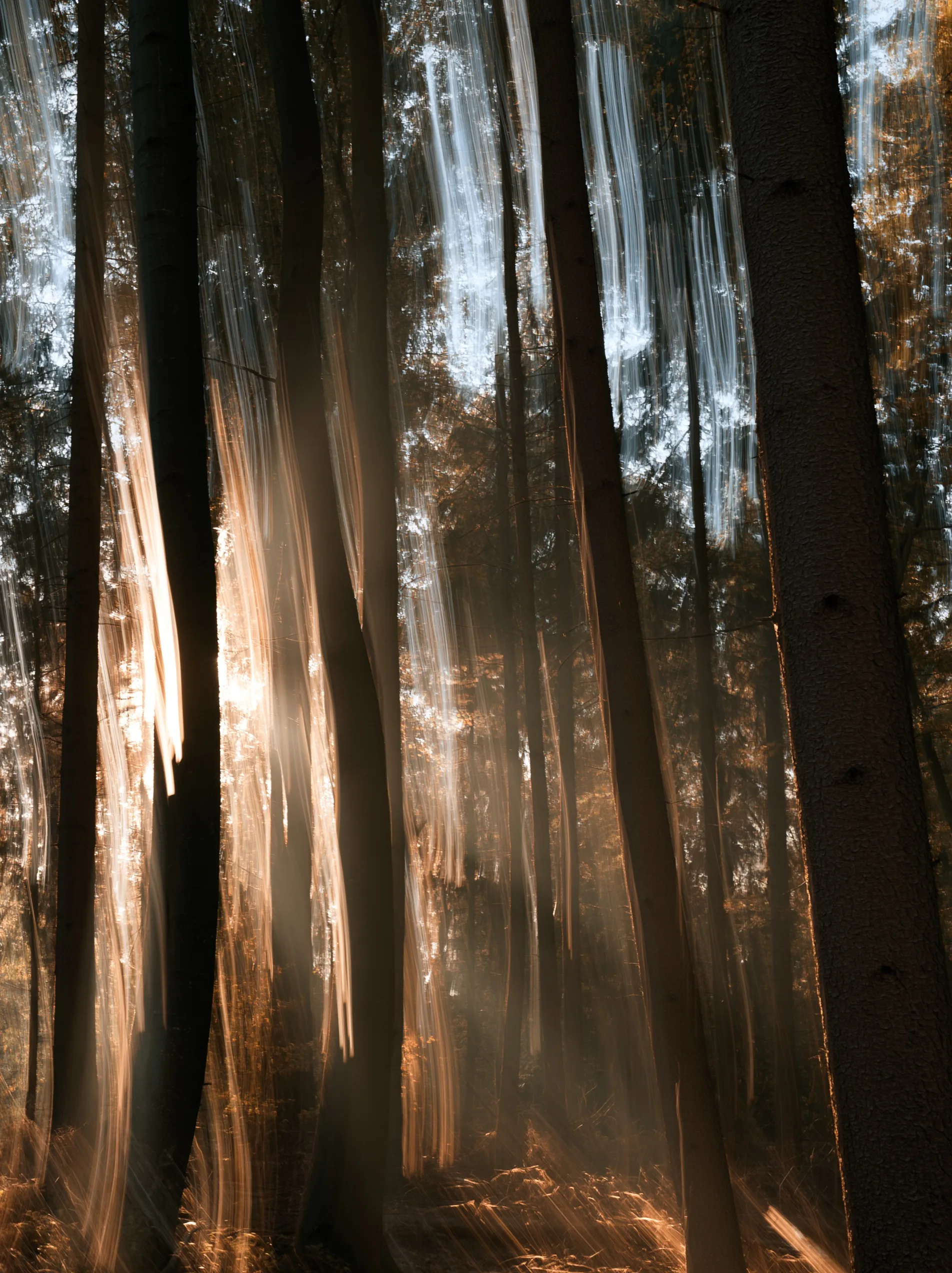 A hauntingly beautiful view of abstract forest light trails blurred vertically via intentional camera movement into soft watercolor-like streaks.