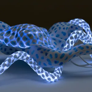 bioluminescent lighting