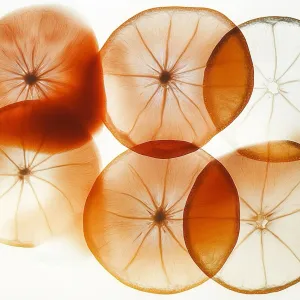 X-rayed Orange Slices，white background, soft lighting